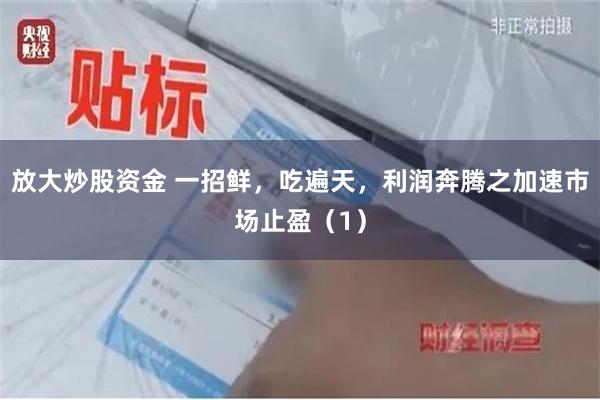 放大炒股资金 一招鲜，吃遍天，利润奔腾之加速市场止盈（1）