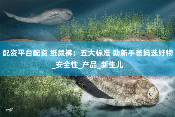 配资平台配资 纸尿裤：五大标准 助新手爸妈选好物_安全性_产品_新生儿