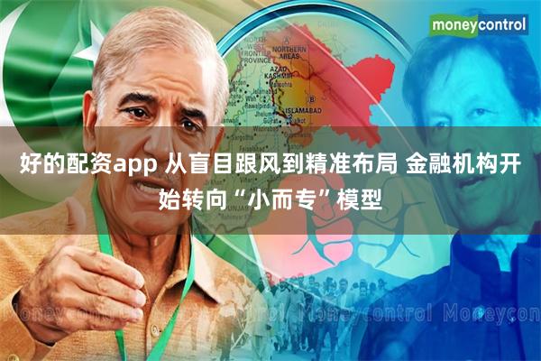 好的配资app 从盲目跟风到精准布局 金融机构开始转向“小而专”模型