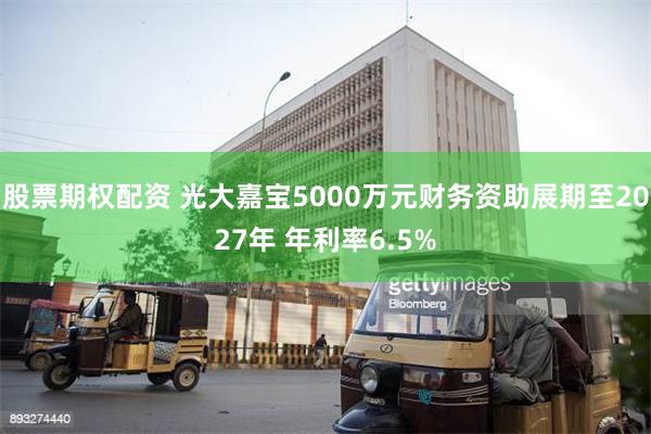 股票期权配资 光大嘉宝5000万元财务资助展期至2027年 年利率6.5%