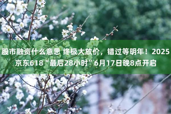 股市融资什么意思 终极大放价，错过等明年！2025京东618“最后28小时”6月17日晚8点开启