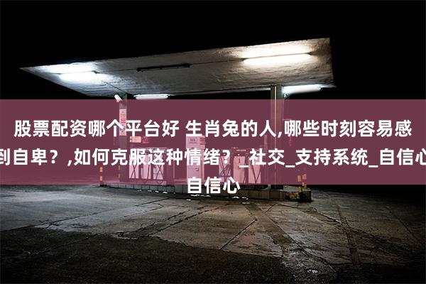 股票配资哪个平台好 生肖兔的人,哪些时刻容易感到自卑？,如何克服这种情绪？_社交_支持系统_自信心