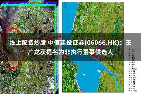 线上配资炒股 中信建投证券(06066.HK)：王广龙获提名为非执行董事候选人