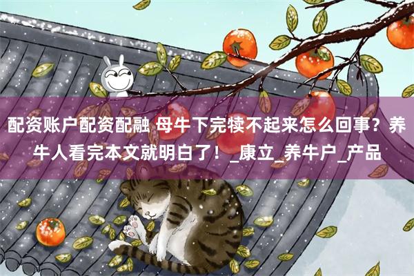 配资账户配资配融 母牛下完犊不起来怎么回事？养牛人看完本文就明白了！_康立_养牛户_产品