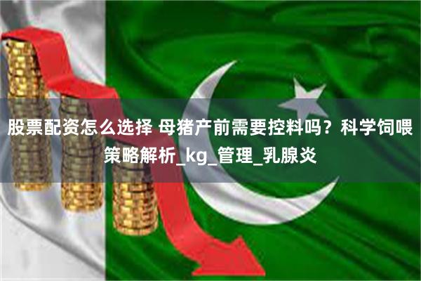 股票配资怎么选择 母猪产前需要控料吗？科学饲喂策略解析_kg_管理_乳腺炎