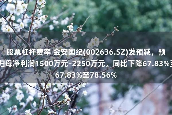 股票杠杆费率 金安国纪(002636.SZ)发预减，预计上半年归母净利润1500万元–2250万元，同比下降67.83%至78.56%