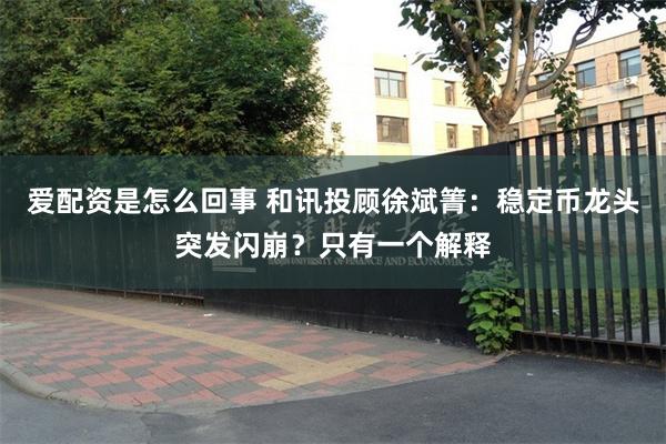 爱配资是怎么回事 和讯投顾徐斌箐：稳定币龙头突发闪崩？只有一个解释