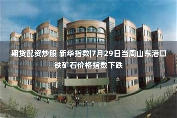期货配资炒股 新华指数|7月29日当周山东港口铁矿石价格指数下跌