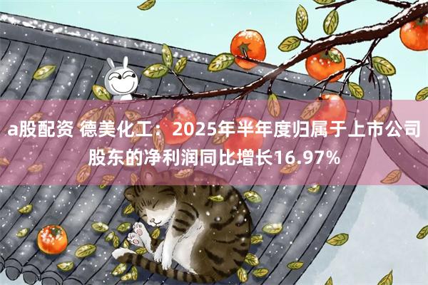 a股配资 德美化工：2025年半年度归属于上市公司股东的净利润同比增长16.97%
