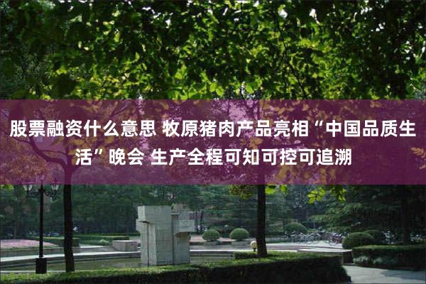 股票融资什么意思 牧原猪肉产品亮相“中国品质生活”晚会 生产全程可知可控可追溯
