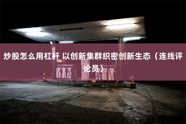炒股怎么用杠杆 以创新集群织密创新生态（连线评论员）